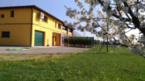 Отель B&B Il Portico  Практичелло